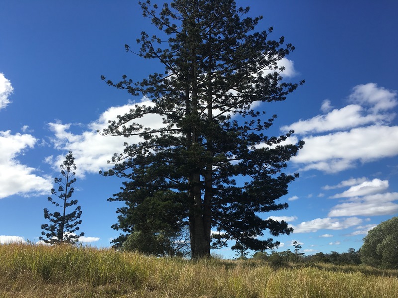 Image 10