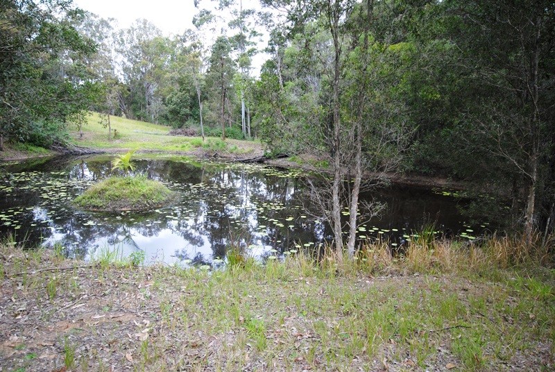 Image 18