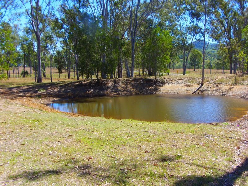 Image 11