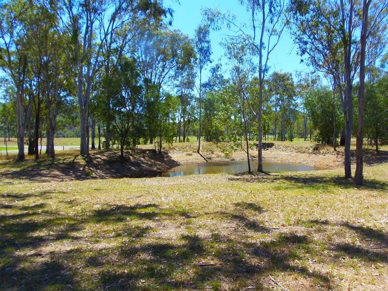 Image 9