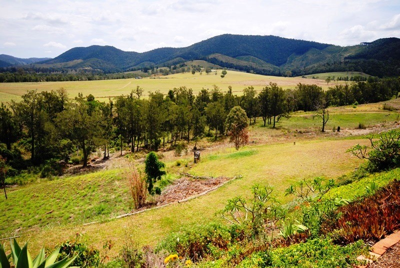 Image 15
