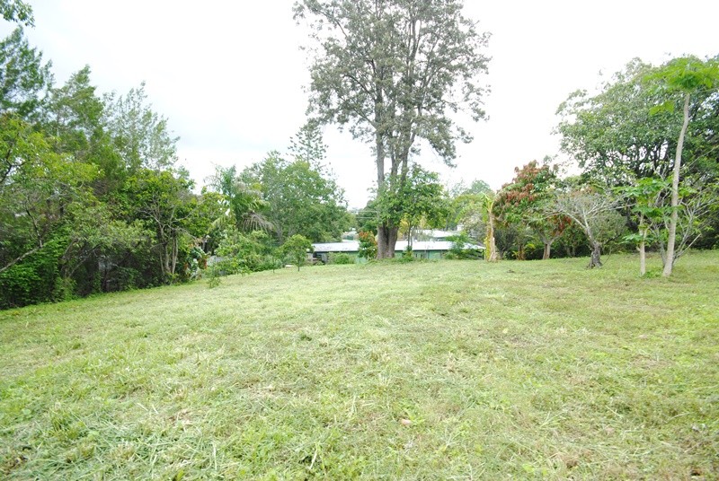 Image 12