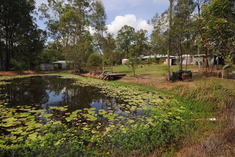 Image 13