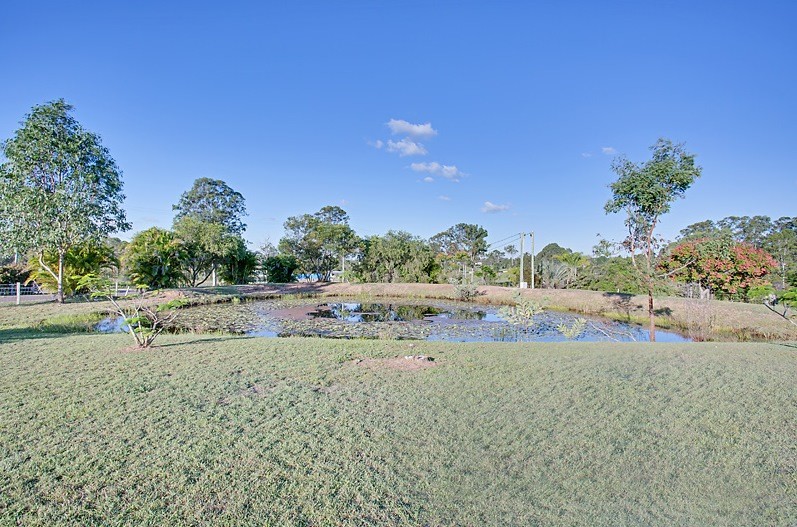 Image 22
