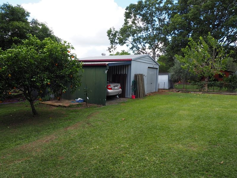 Image 6