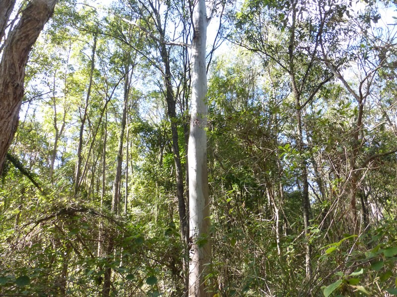 Image 11