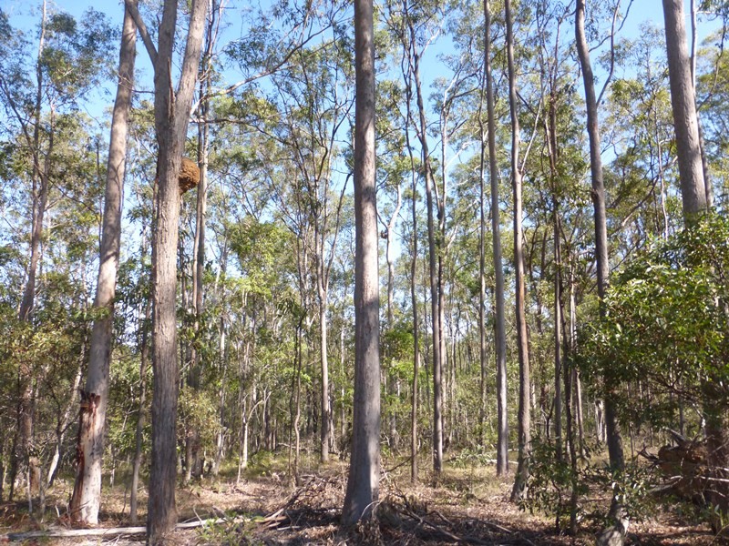 Image 12