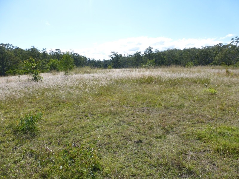 Image 15
