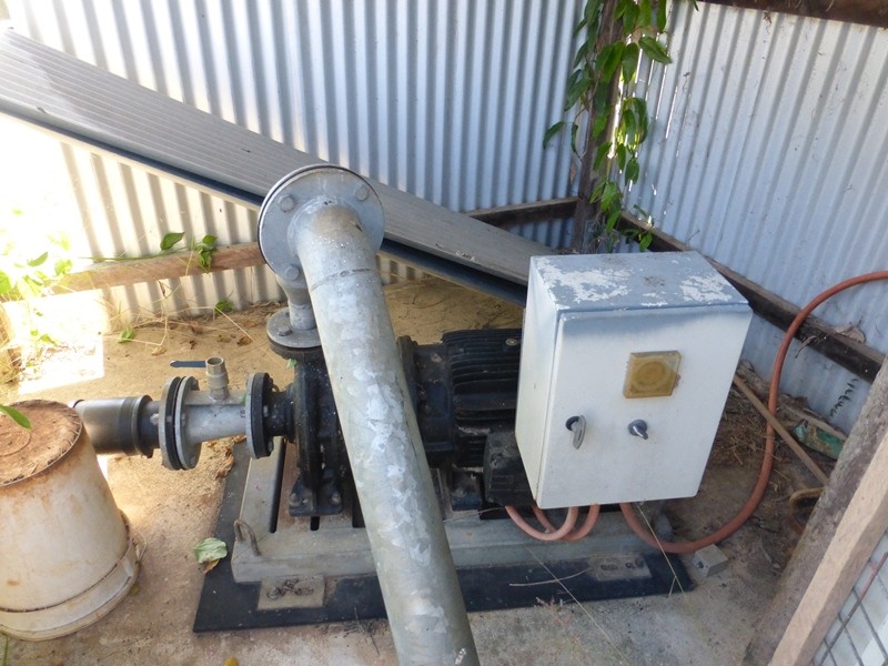 Image 21