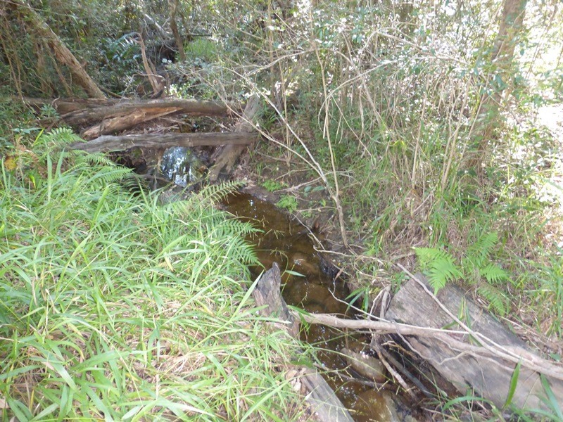 Image 6
