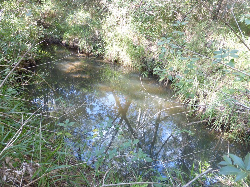 Image 10