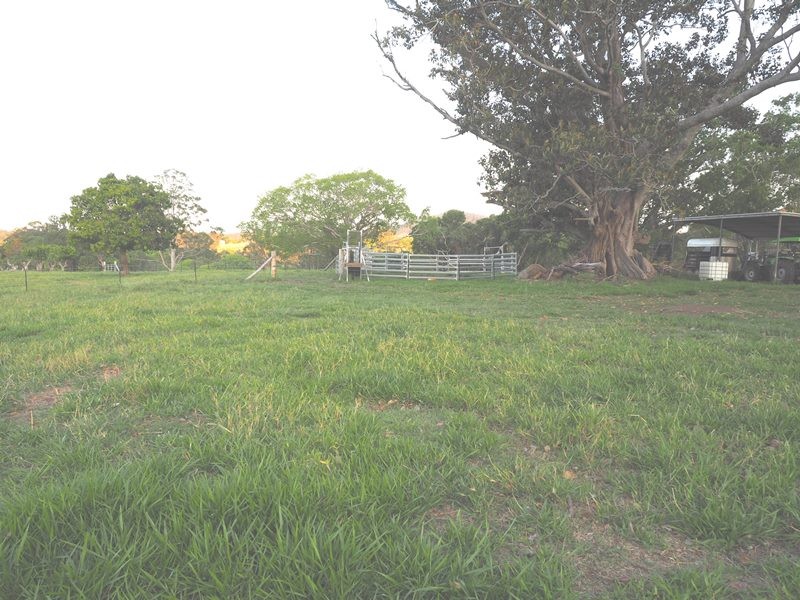 Image 13