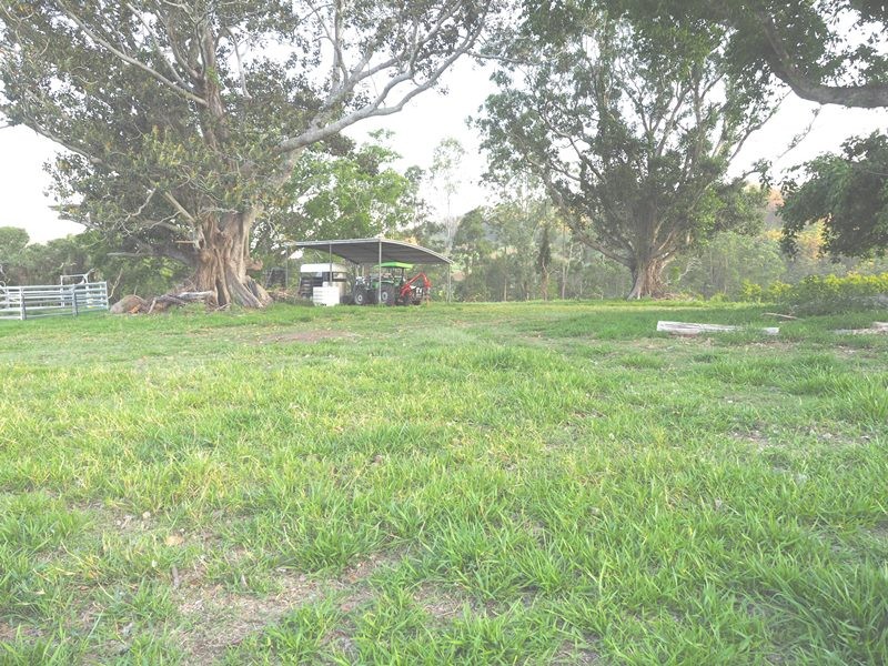 Image 14