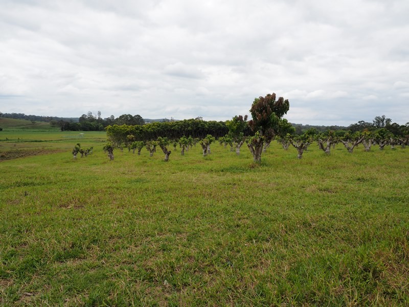 Image 18