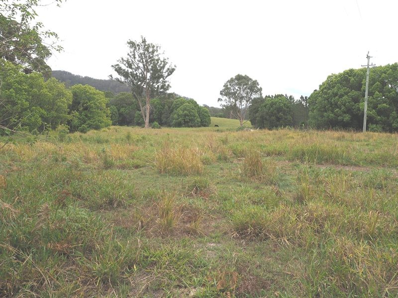 Image 19