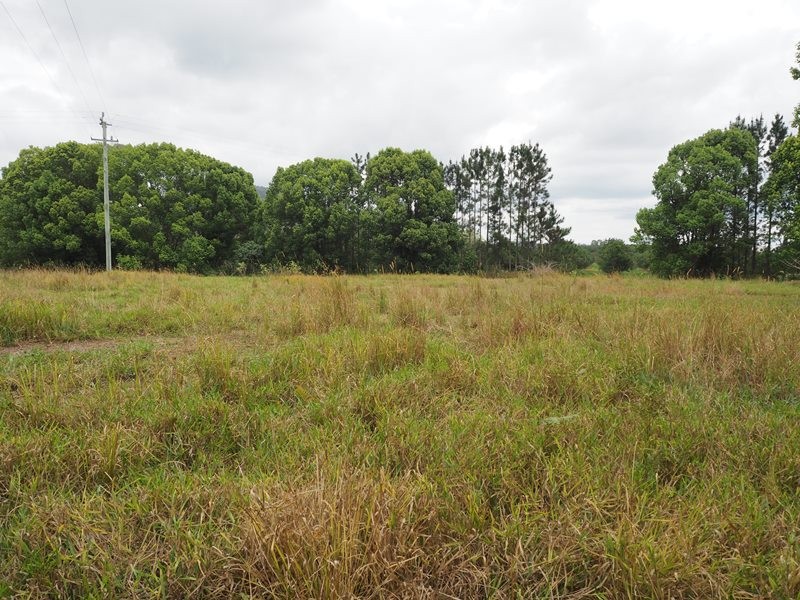 Image 20