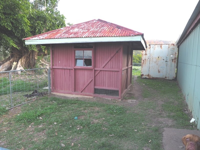 Image 9