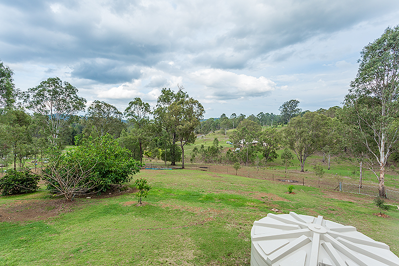 Image 14