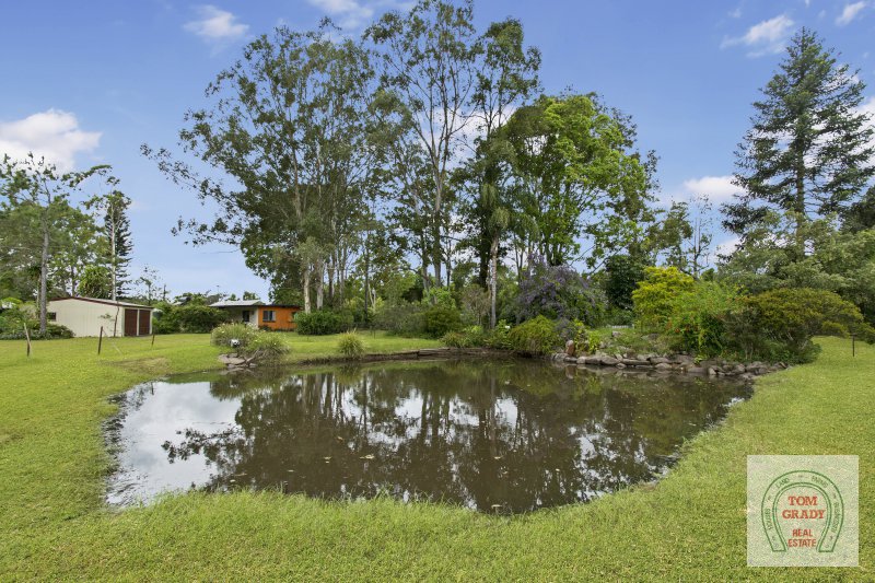 Image 10