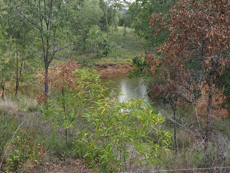 Image 11