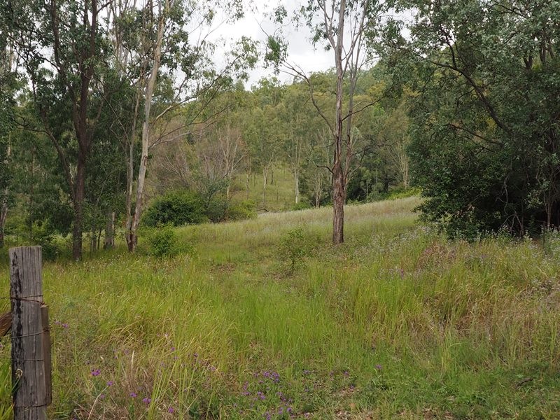 Image 10