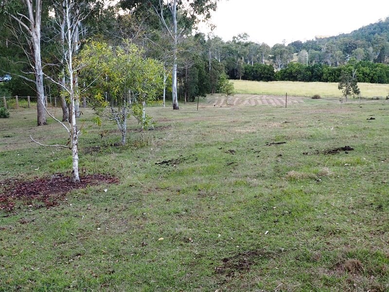 Image 13