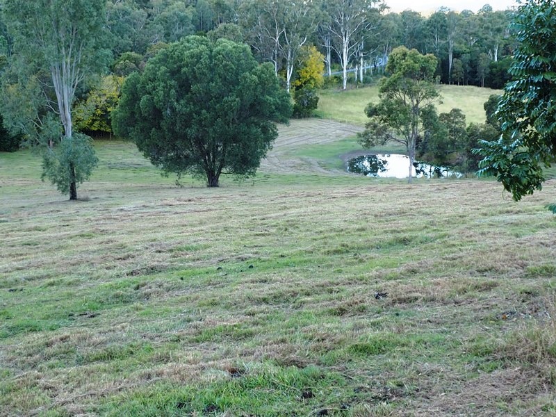 Image 14