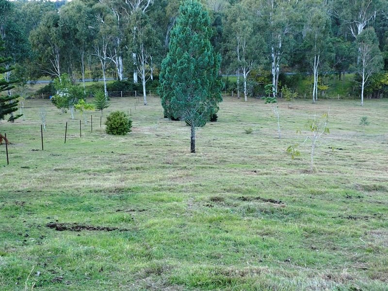 Image 15