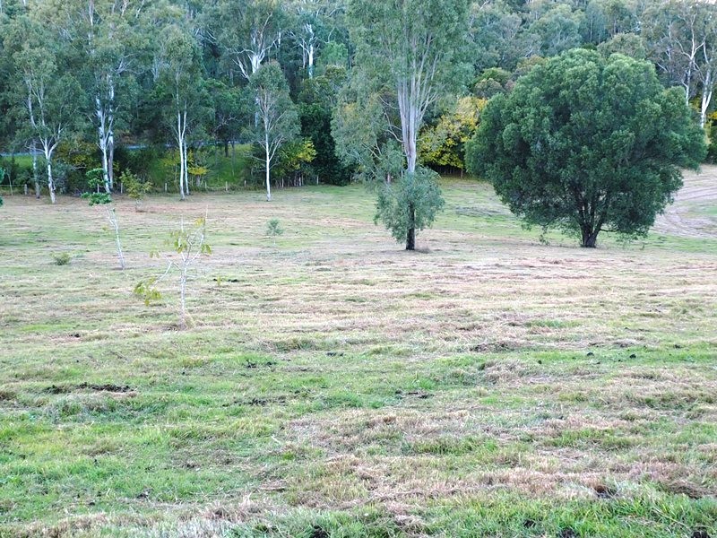 Image 16