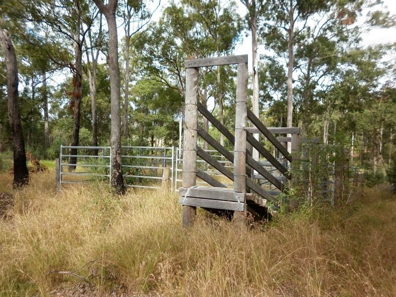 Image 4
