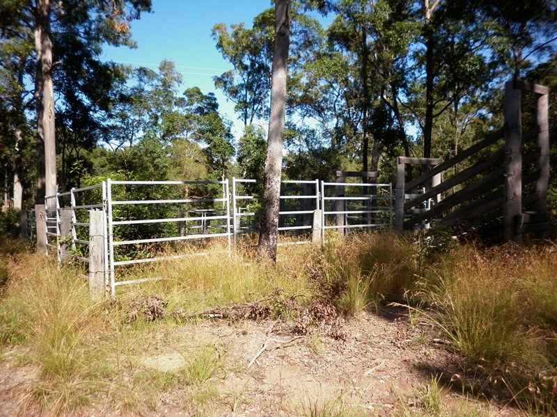 Image 6