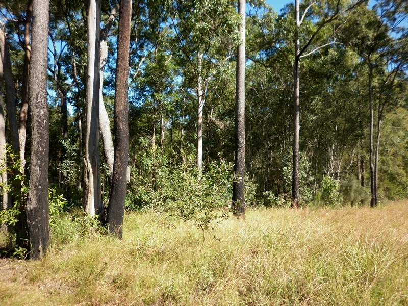 Image 8