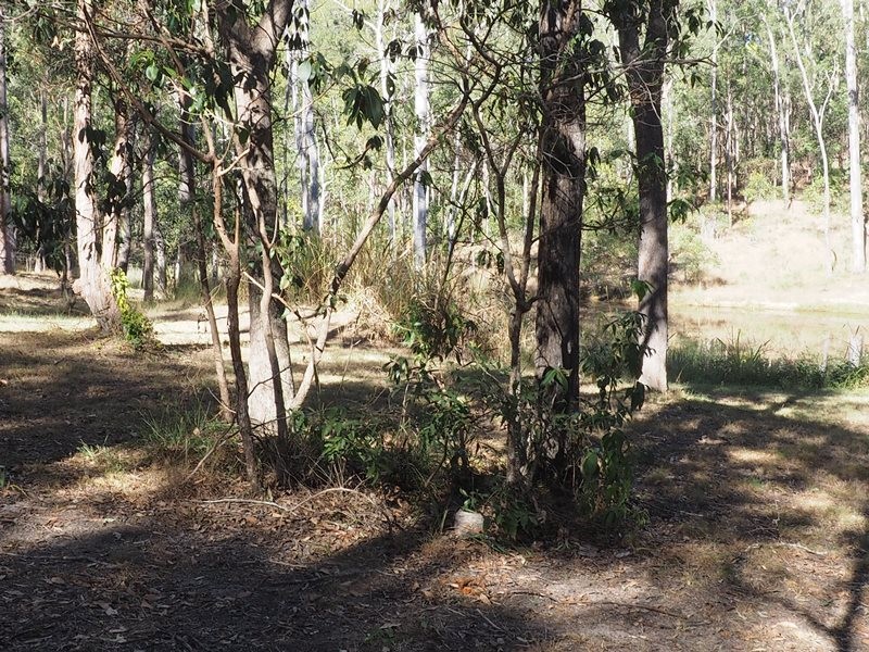 Image 22