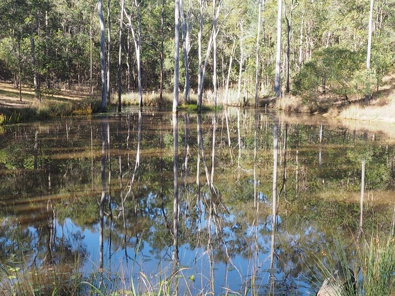 Image 18