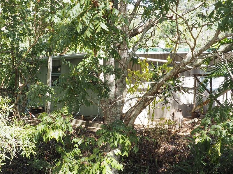 Image 11