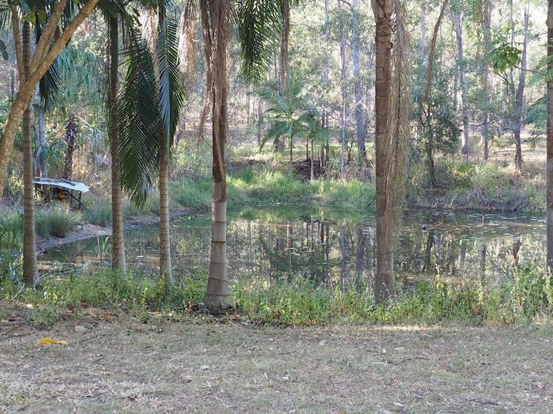 Image 19