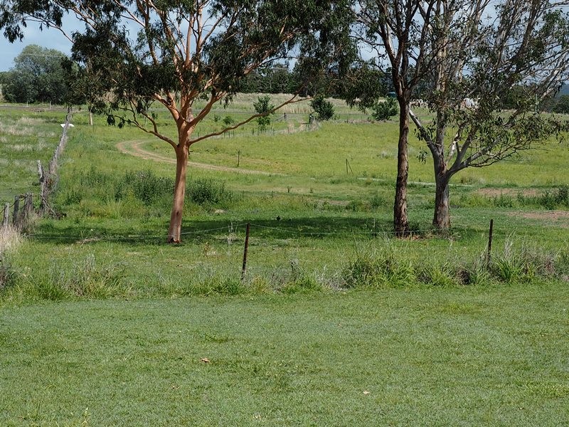 Image 21