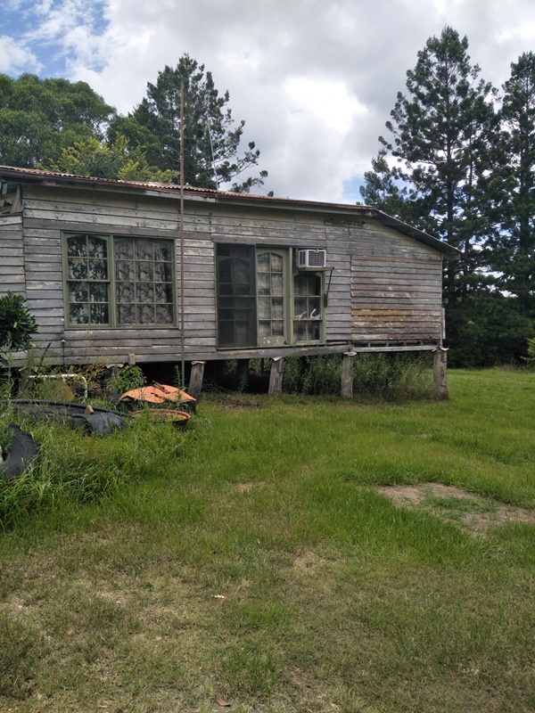 Image 7