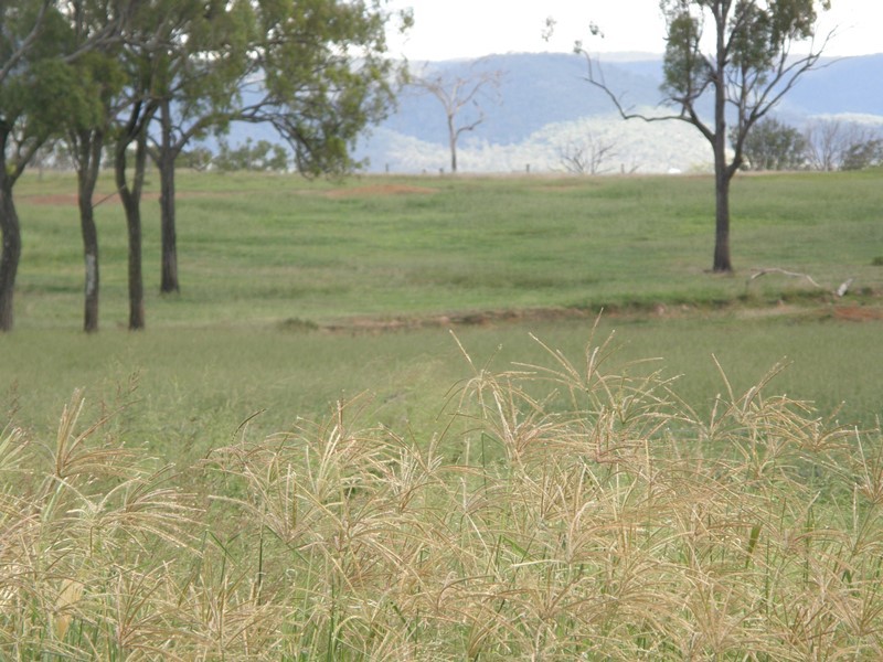 Image 13