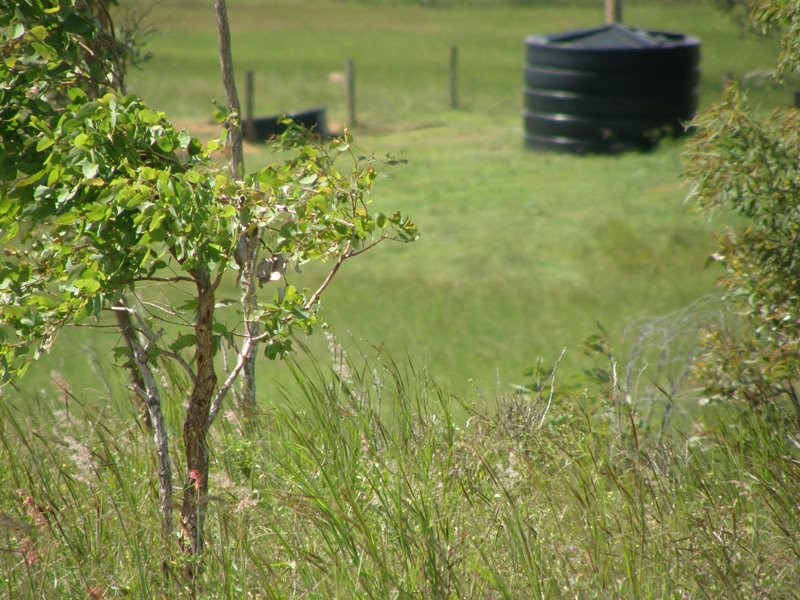 Image 15