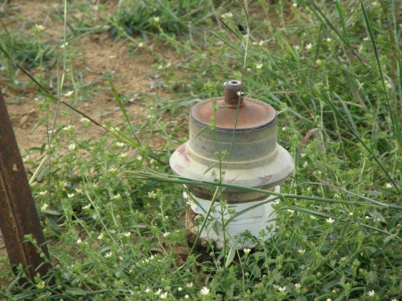 Image 16