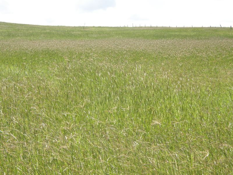 Image 18