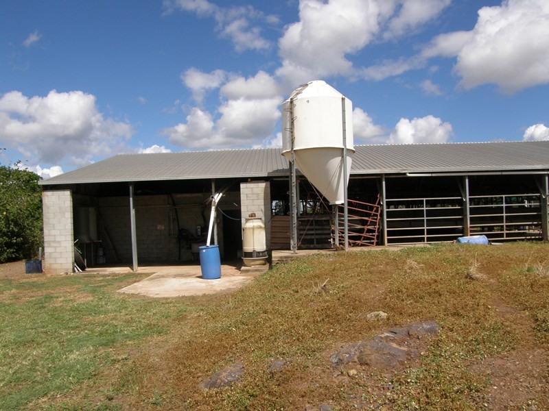 Image 21
