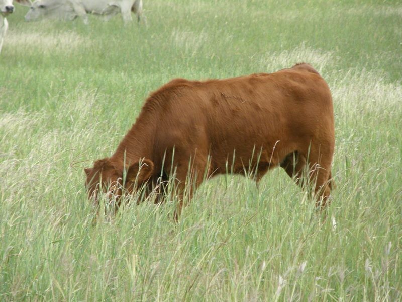 Image 20