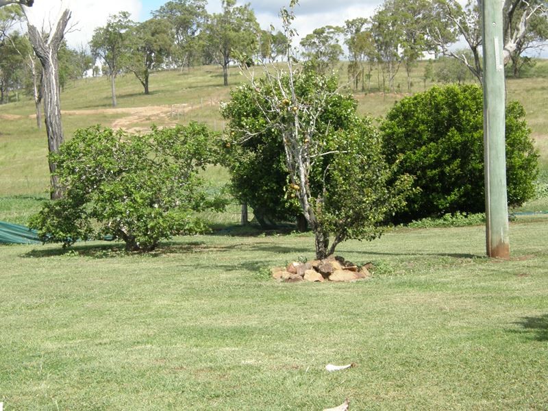 Image 10