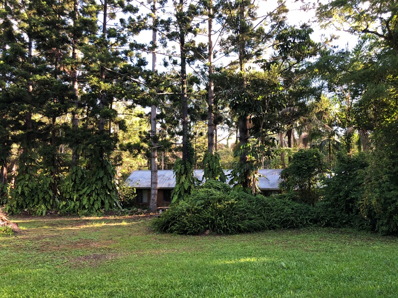 Image 13