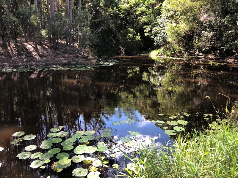Image 14