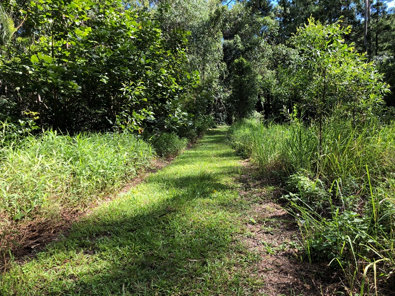 Image 15