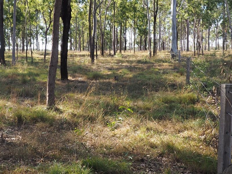 Image 11