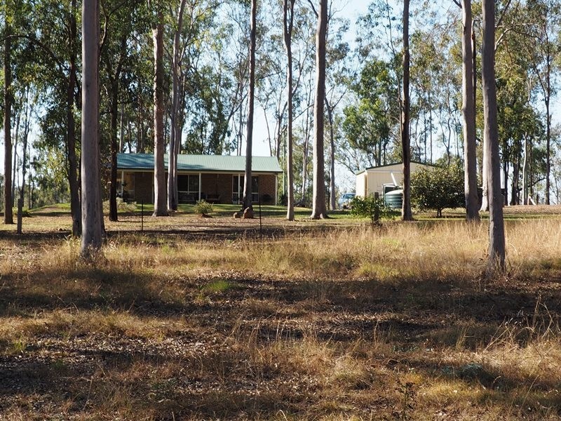 Image 12